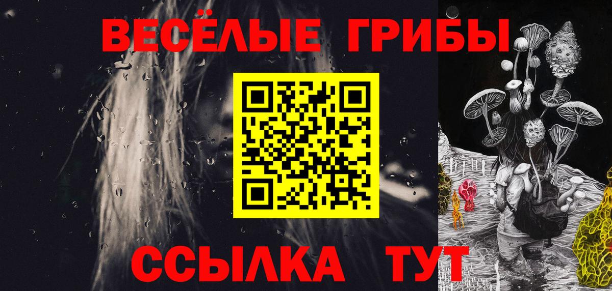 Псилоцибиновые грибы Psilocybe  Псилоцибиновые грибы прущие грибы  Вход с VPN  Ставрополь 