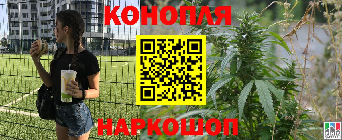 Бошки марихуана SATIVA & INDICA  Марихуана ГИДРОПОН  Ставрополь  Вход с VPN  МАРИХУАНА семена 